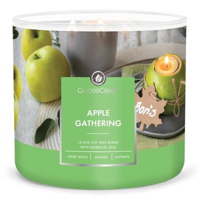 Apple Gathering Goose Creek Candle®411 grammi Collezione 3 stoppini