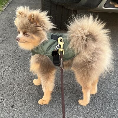 2 in 1 Waterproof Wax Padded Dog Coat with Harness medium dachshund