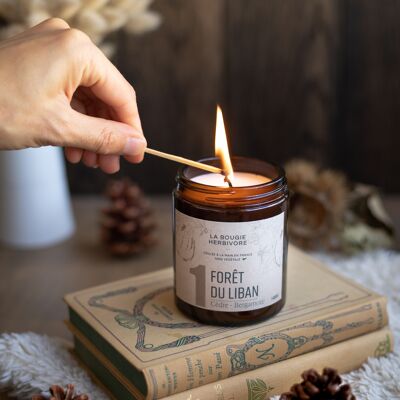 Candle N°1 Forest of Lebanon - Cedar & Bergamot