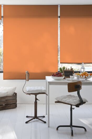 Store Enrouleur Lisse Translucide Estoralis 140 x 230 cm. Orange ARAL 2