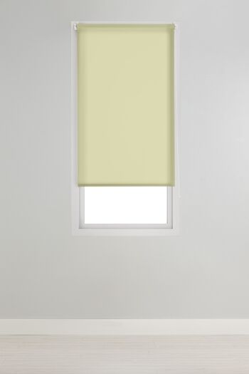 Store Enrouleur Lisse Translucide Estoralis 110 x 230 cm. Pomme ARAL 4