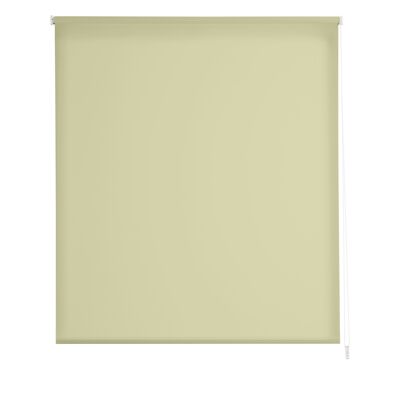 Estoralis Smooth Translucent Roller Blind 180 x 230 cm. ARAL Apple