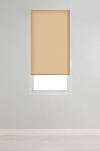 Store Enrouleur Lisse Translucide Estoralis 140 x 230 cm. Nougat ARAL 4
