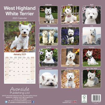 Calendrier 2023 West highland white terrier 3