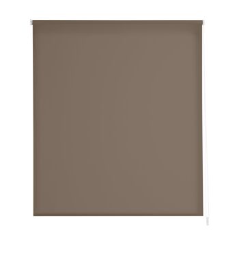 Store Enrouleur Lisse Translucide Estoralis 100 x 230 cm. ARAL Noisette 1