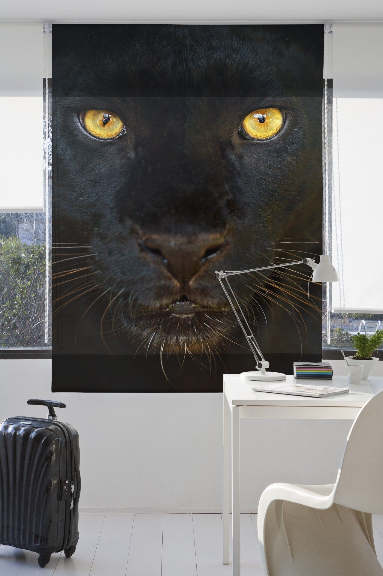 Tenda a rullo traslucida stampa digitale Estoralis 150 x 250 cm. A-164