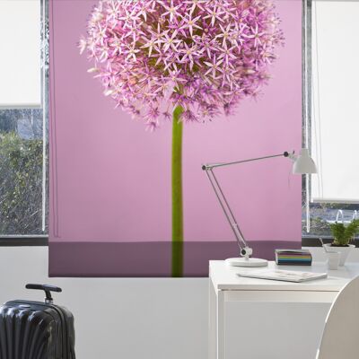Translucent Roller Blind Digital Printing Estoralis 130 x 175 cm. F-834