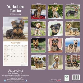 Calendrier 2023 Yorkshire terrier 3