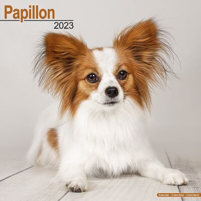 Calendrier 2023 Epagneul papillon