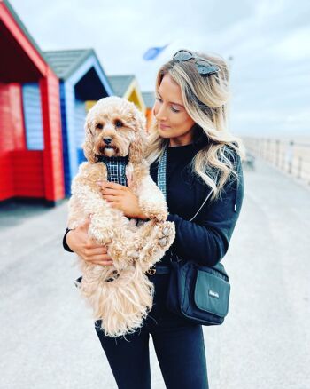 Ensemble sac et harnais de promenade pour chien prêt à marcher ! 3