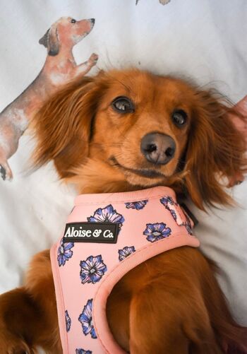 Blossom - Harnais réglable pour chien imprimé floral 5