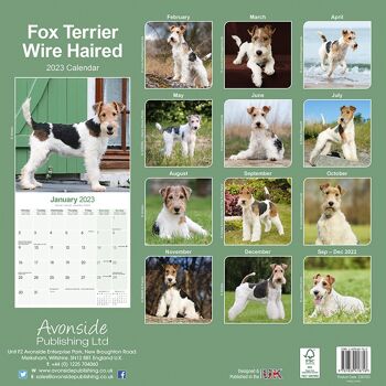 Calendrier 2023 Fox terrier poil dur 3