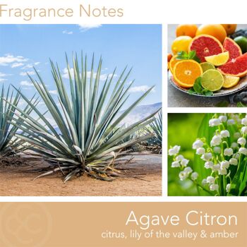 Bougie parfumée Agave Cédrat - 566g 4