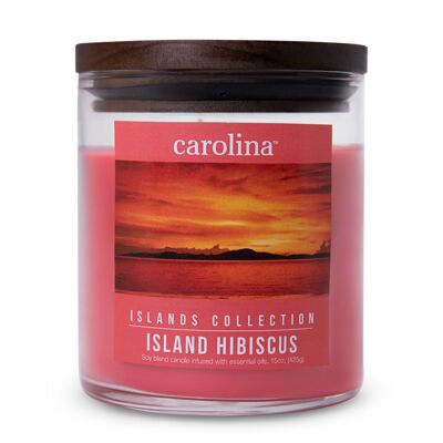 Scented candle Iceland Hibiscus - 425g