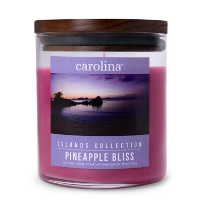 Scented candle Pineapple Bliss - 425g