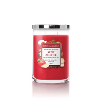 Bougie parfumée Pomme Allspice - 311g 1