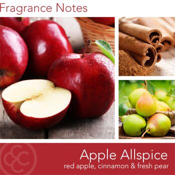 Bougie parfumée Pomme Allspice - 311g 2