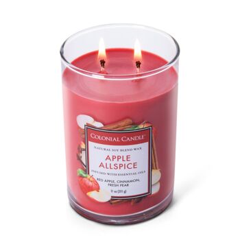 Bougie parfumée Pomme Allspice - 311g 3
