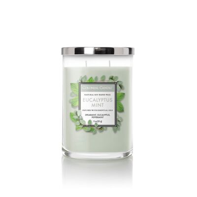 Bougie parfumée Eucalyptus Menthe - 311g