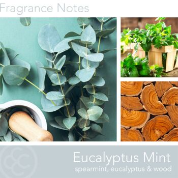 Bougie parfumée Eucalyptus Menthe - 311g 2