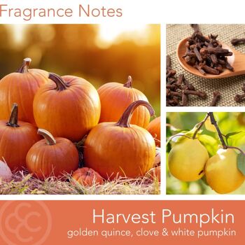 Bougie parfumée Harvest Pumpkin - 538g 4