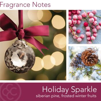 Bougie parfumée Holiday Sparkle - 311g 2