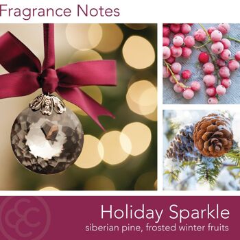 Bougie parfumée Holiday Sparkle - 538g 4