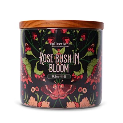 Scented candle Rose Bush in Bloom - 411g