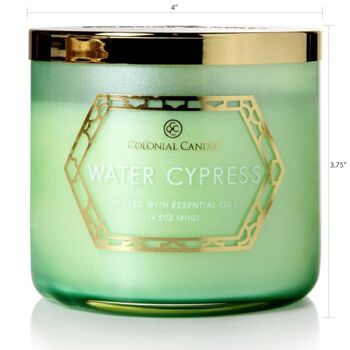 Bougie parfumée Cyprès d'Eau - 411g 3