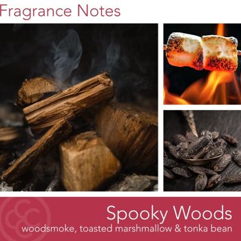 Bougie parfumée Spooky Woods - 411g 4