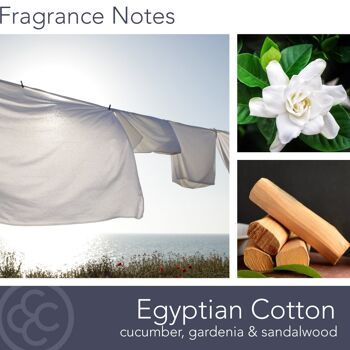 Bougie parfumée Coton Egyptien - 312g 4