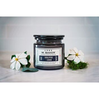 Bougie parfumée Eucalyptus & Lichen - 396g 4