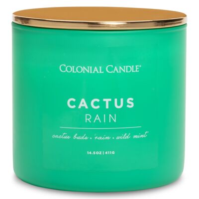 Bougie parfumée Pluie de Cactus - 411g