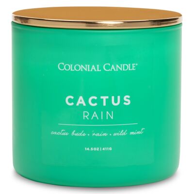 Duftkerze Cactus Rain - 411g