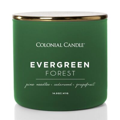 Evergreen Forest scented candle - 411g