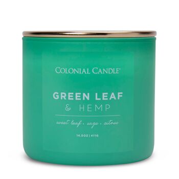 Bougie parfumée Green Leaf Chanvre - 411g 1