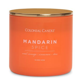 Bougie parfumée Mandarine Épice - 411g 1