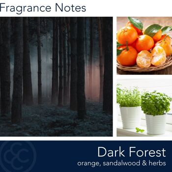Bougie parfumée Forêt Sombre - 425g 4