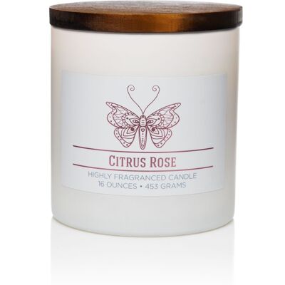 Scented candle Citrus Rose - 453g