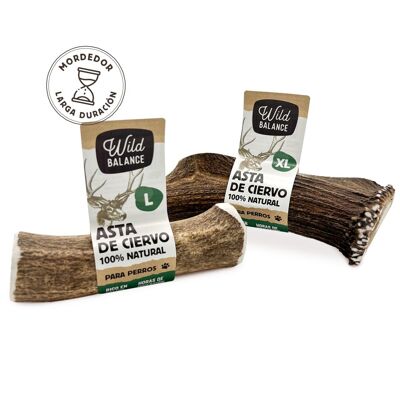 Bois de cerf S (15-39gr)