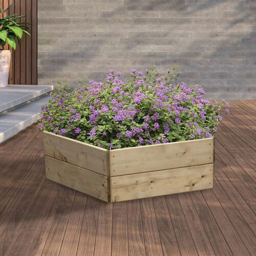 Pentagonal Raised Bed 30 cm High, 60cm each side