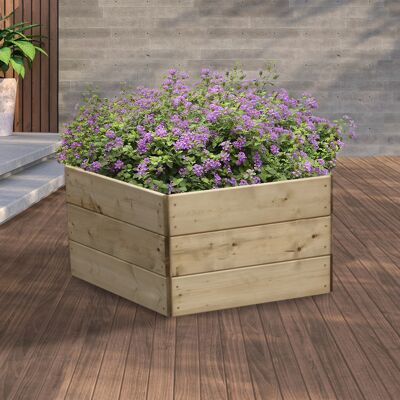 Pentagonal Raised Bed 45 cm High, 60cm each side