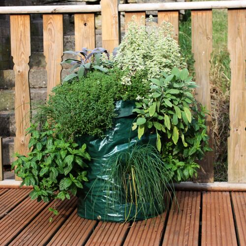 Herb Planter