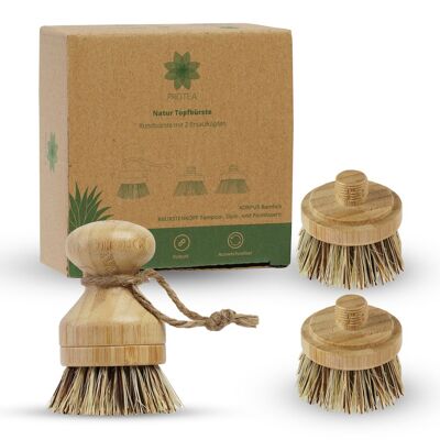 PROTEA set of 3 cup brushes with replacement heads, sustainable dish brush made of natural bristles