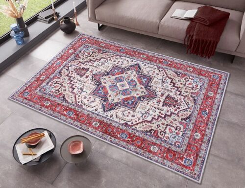 Design Carpet in Oriental Optic Heriz Arian