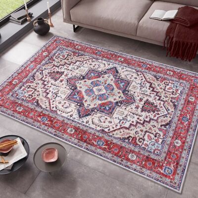 Design Carpet in Oriental Optic Heriz Arian