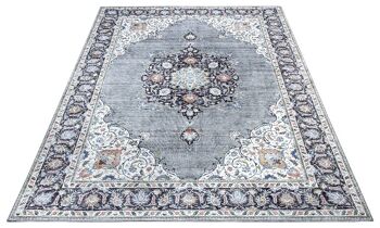 Tapis Design en Médaillon Optique Oriental Rana 2