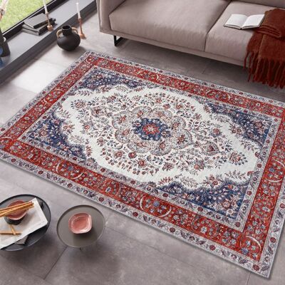 Design Carpet in Oriental Optic Tabriz Miray