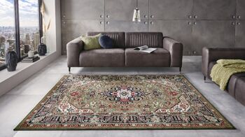 Tapis Oriental Design Skazar Ispahan 13