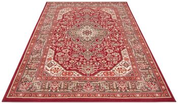 Tapis Oriental Design Skazar Ispahan 11